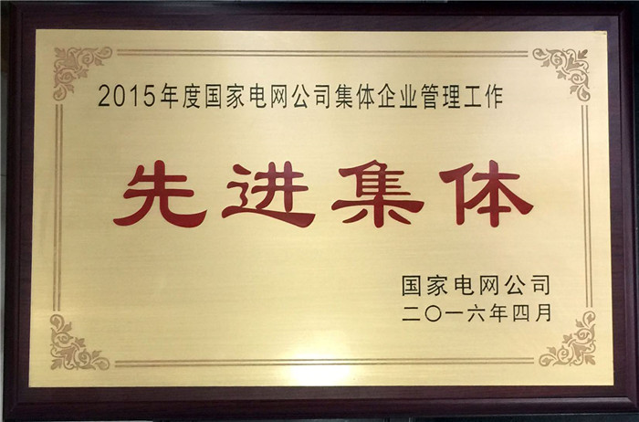 國網先進集體.JPG