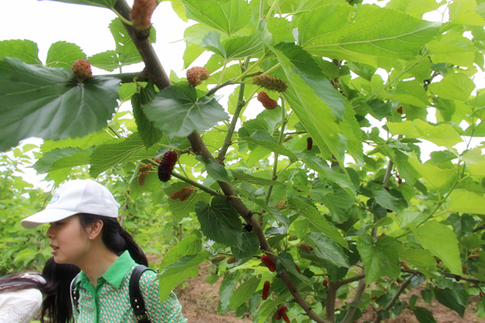 紫電公司開展戶外活動(dòng)  慶?！拔逅摹鼻嗄旯?jié)