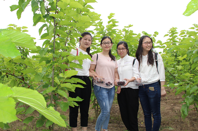 紫電公司開展戶外活動(dòng)  慶?！拔逅摹鼻嗄旯?jié)