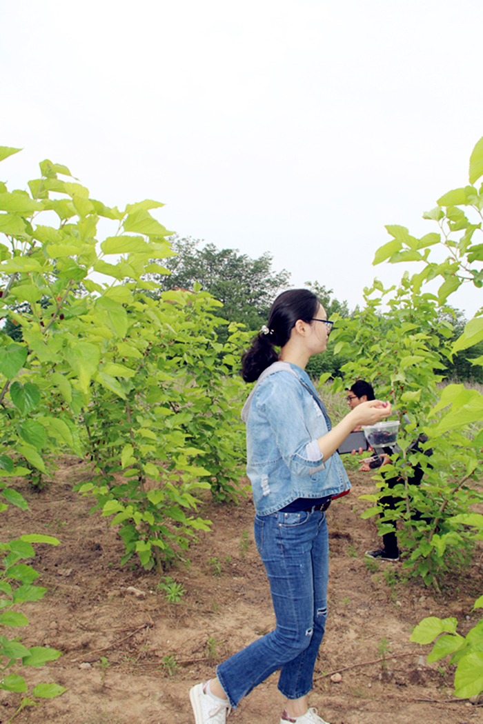 紫電公司開展戶外活動(dòng)  慶祝“五四”青年節(jié)